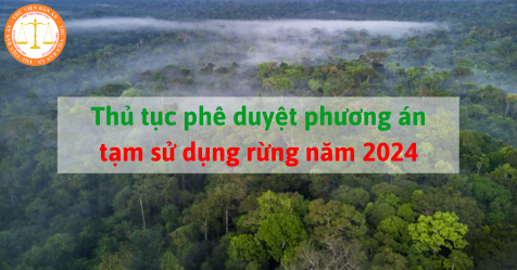 Thủ tục phê duyệt phương án tạm sử dụng rừng năm 2024