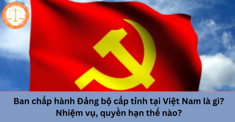 Ban chấp hành Đảng bộ cấp tỉnh tại Việt Nam là gì? Nhiệm vụ, quyền hạn thế nào?