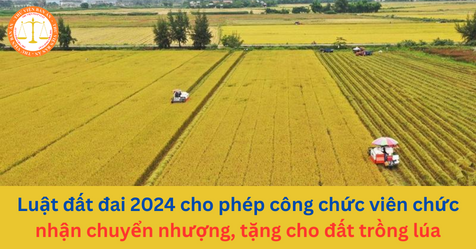 Luật đất đai 2024 cho phép công chức viên chức nhận chuyển nhượng, tặng cho đất trồng lúa