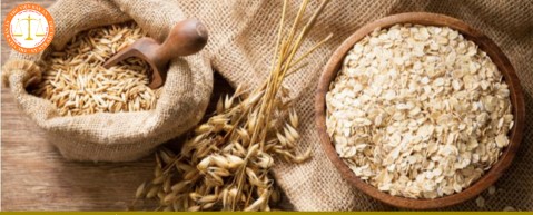 What is oat? Basic components and quality indicators of oats in Vietnam