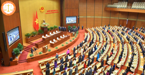 Who is the current acting President? Powers of the President in Vietnam