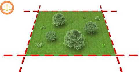 What is encroachment of land according to the Land Law 2024 in Vietnam? What are judgments on land disputes due to land encroachment in Vietnam?