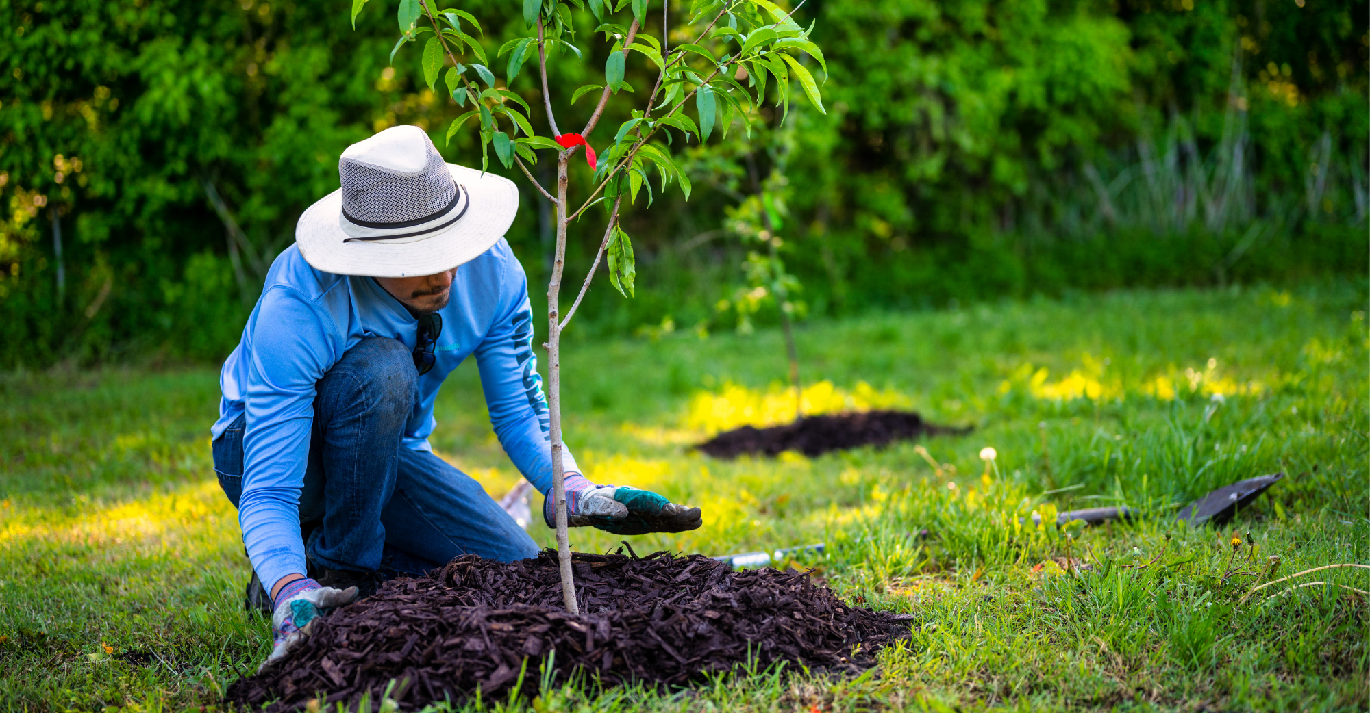 What are penalties for unauthorized planting on someone else's land in Vietnam? What are judgments related to this offense?