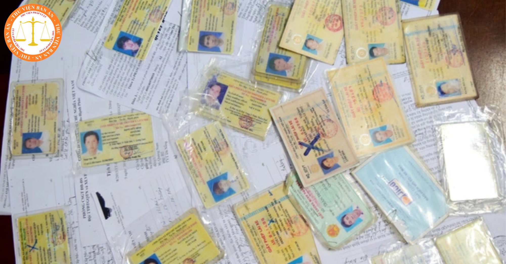 What are judgments on the act of using fabricated driver licenses in Vietnam?