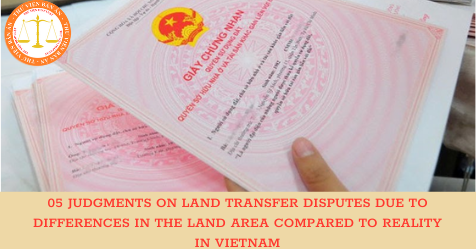 05 judgments on land transfer disputes due to differences in the land area compared to reality in Vietnam
