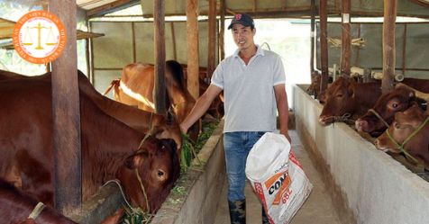 What are penalties for violations against regulations on livestock waste treatment in Vietnam?