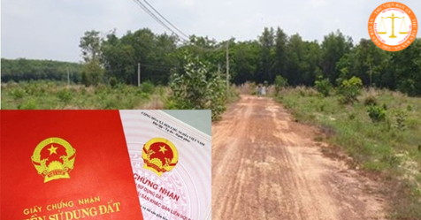 The case of losing land when letting others use their land in Vietnam 