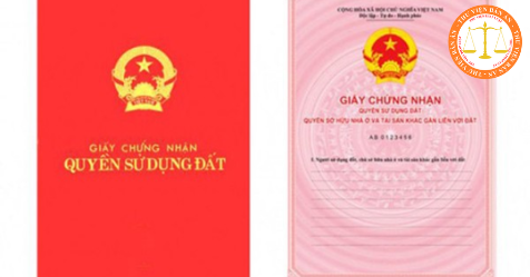 Distinguish between the Red Book issued to households and the Red Book issued to individuals in Vietnam 