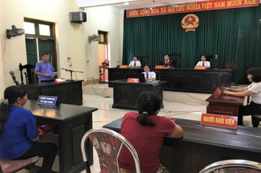 Vietnam: Issue regarding deadline for submitting decision to suspend the settlement of the case at the first-instance administrative court session