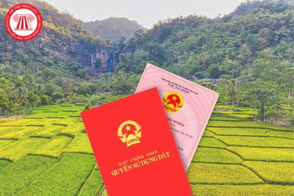 Vietnam: Shall farmland be issued with land use rights certificate? Shall farmland be issued as homestead land?