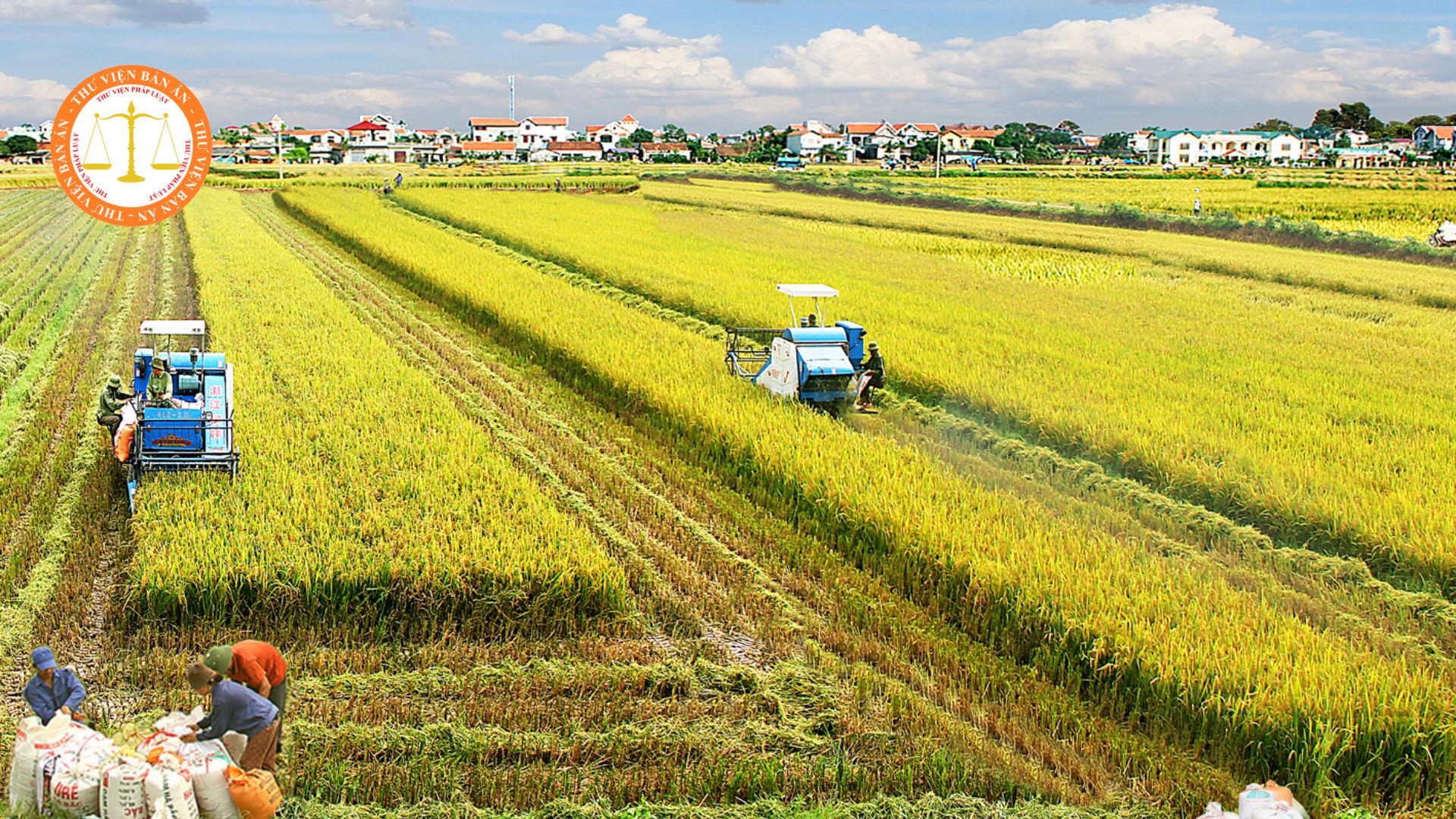 List of 11 business lines in the agricultural sector eligible for investment incentives in Vietnam