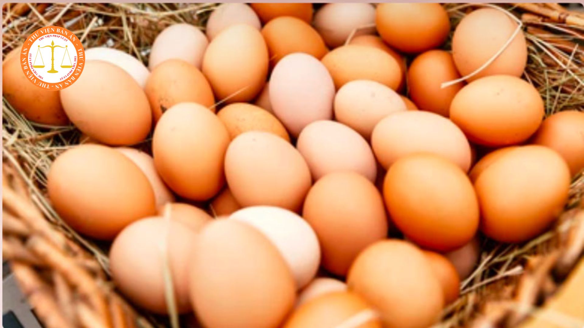 What standards must commercial chicken eggs in Vietnam meet?