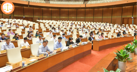 The Government to approve 05 Law Projects in Vietnam according to Resolution 115/NQ-CP