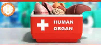 Procedures for registration of donation of living donor tissues and organs under the law in Vietnam