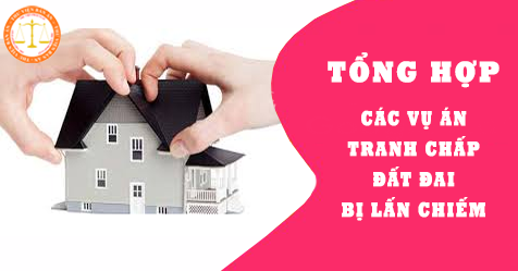 12 Vụ án Tranh Chấp đất đai Bị Lấn Chiếm