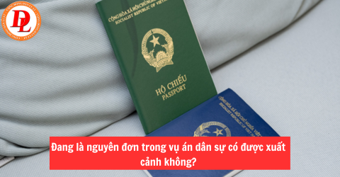 https://cdn.thuvienphapluat.vn/uploads/danluat/ẢNH BÀI VIẾT/Visa CÓ ĐƯỢC THAY ĐỔI MỤC ĐÍCH SỬ DỤNG (47).png