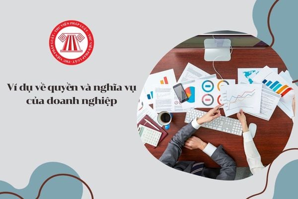 Thành lập doanh nghiệp, cần biết những quyền và nghĩa vụ nào? Ví dụ về quyền và nghĩa vụ của doanh nghiệp