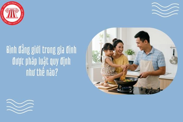 Bình đẳng giới trong gia đình được pháp luật quy định như thế nào? Ví dụ minh họa