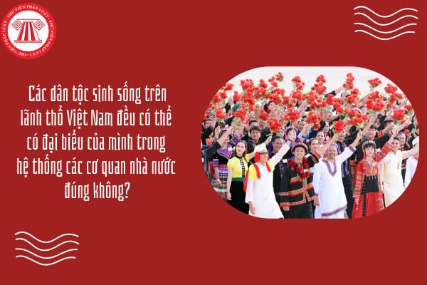 Các dân tộc sinh sống trên lãnh thổ Việt Nam đều có thể có đại biểu của mình trong hệ thống các cơ quan nhà nước đúng không?