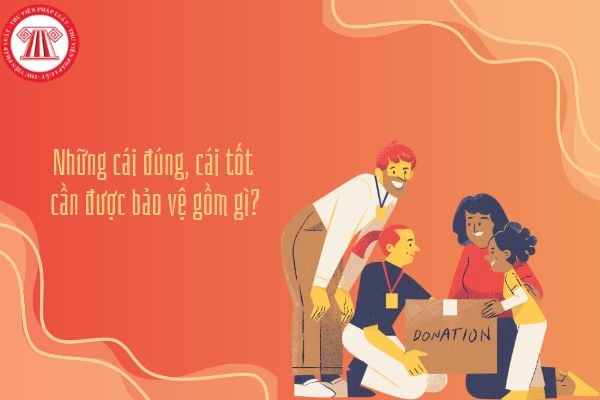 Những cái đúng, cái tốt cần được bảo vệ gồm gì? Học sinh có thể làm gì để bảo vệ cái đúng, cái tốt?