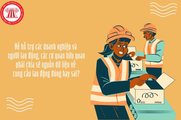 Kinh tế Pháp luật 11 Bài 5: Để hỗ trợ các doanh nghiệp và người lao động, các cơ quan hữu quan phải chia sẻ nguồn dữ liệu về cung cầu lao động đúng hay sai?