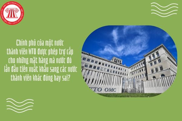 GDKTPL 12 Bài 16: Chính phủ của một nước thành viên WTO được phép trợ cấp cho những mặt hàng mà nước đó lần đầu tiên xuất khẩu sang các nước thành viên khác đúng hay sai?