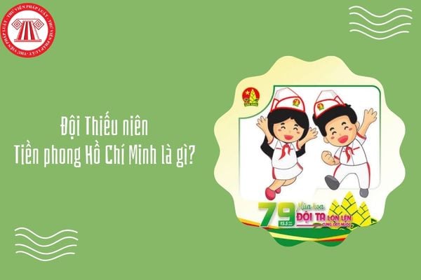 Đội Thiếu niên Tiền phong Hồ Chí Minh là gì? Đội Thiếu niên Tiền phong Hồ Chí Minh được thành lập vào ngày mấy?