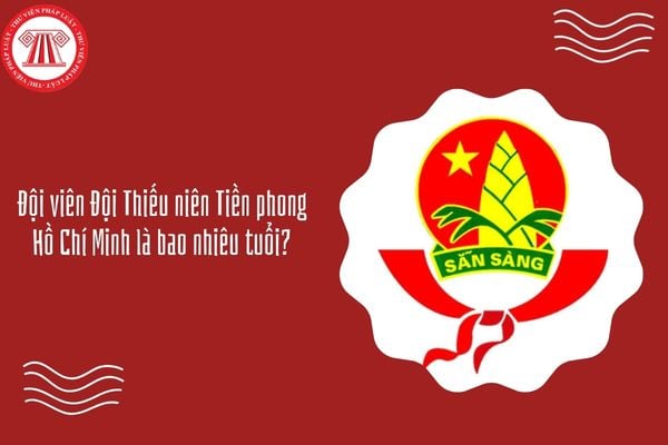 Đội viên Đội Thiếu niên Tiền phong Hồ Chí Minh là bao nhiêu tuổi?