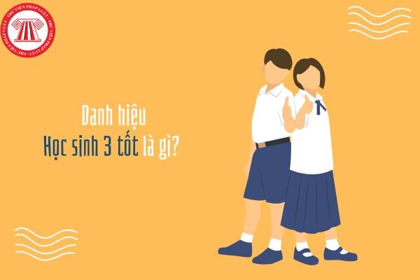 Danh hiệu Học sinh 3 tốt là gì? Tiêu chí xét Học sinh 3 tốt cấp trung ương, cấp tỉnh, cấp trường như thế nào?