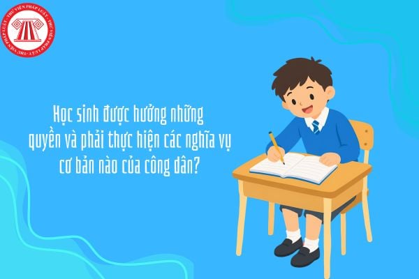 Học sinh được hưởng những quyền và phải thực hiện các nghĩa vụ cơ bản nào của công dân?