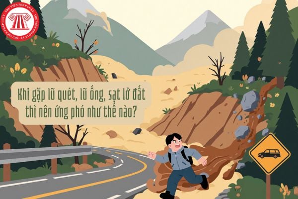 Khi gặp lũ quét, lũ ống, sạt lở đất thì nên ứng phó như thế nào?