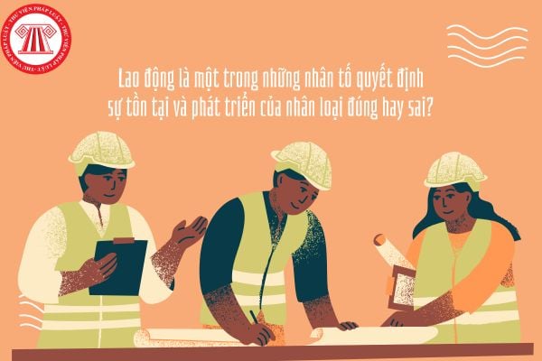 Lao động là một trong những nhân tố quyết định sự tồn tại và phát triển của nhân loại đúng hay sai?