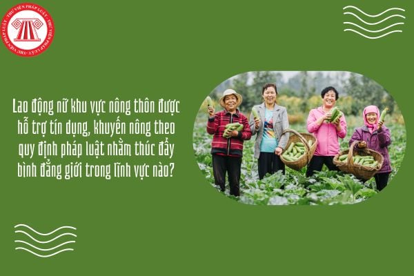Lao động nữ khu vực nông thôn được hỗ trợ tín dụng, khuyến nông theo quy định pháp luật nhằm thúc đẩy bình đẳng giới trong lĩnh vực nào?