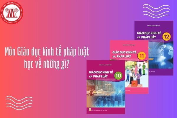 Môn Giáo dục kinh tế pháp luật học về những gì? Học môn Giáo dục kinh tế pháp luật có khó hay không?
