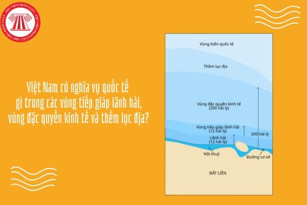 GDKTPL 12 Bài 15: Việt Nam có nghĩa vụ quốc tế gì trong các vùng tiếp giáp lãnh hải, vùng đặc quyền kinh tế và thềm lục địa?