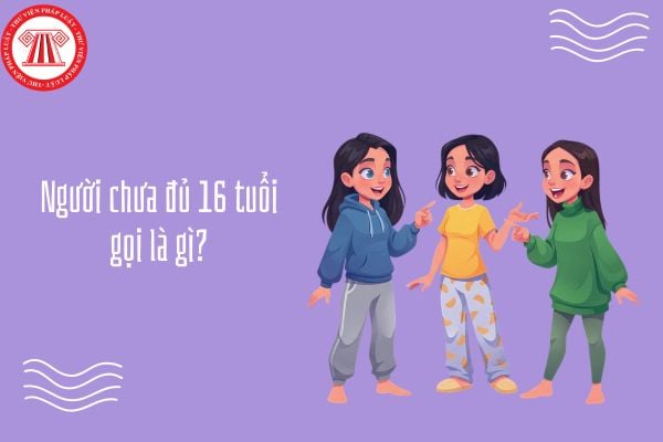 Người chưa đủ 16 tuổi gọi là gì? 16 tuổi là tuổi vị thành niên chưa?