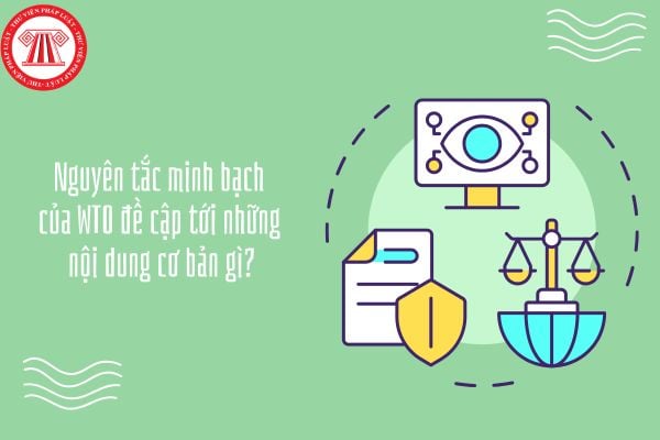 GDKTPL 12 Bài 16: Nguyên tắc minh bạch của WTO đề cập tới những nội dung cơ bản gì?