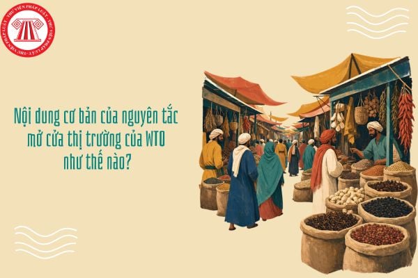 GDKTPL 12 Bài 16: Nội dung cơ bản của nguyên tắc mở cửa thị trường của WTO như thế nào?