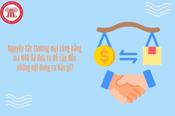 GDKTPL 12 Bài 16: Nguyên tắc thương mại công bằng mà WTO đã đưa ra đề cập đến những nội dung cơ bản gì?