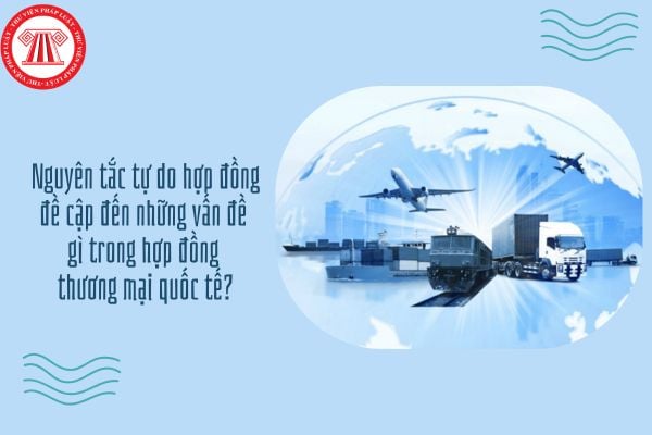 GDKTPL 12 Bài 16: Nguyên tắc tự do hợp đồng đề cập đến những vấn đề gì trong hợp đồng thương mại quốc tế?