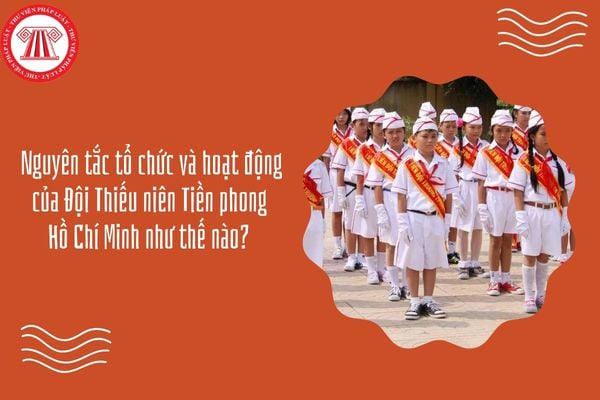 Nguyên tắc tổ chức và hoạt động của Đội Thiếu niên Tiền phong Hồ Chí Minh như thế nào?
