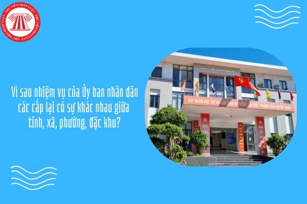 GDKTPL 10 Bài 21: Vì sao nhiệm vụ của Ủy ban nhân dân các cấp lại có sự khác nhau giữa tỉnh, xã, phường, đặc khu?