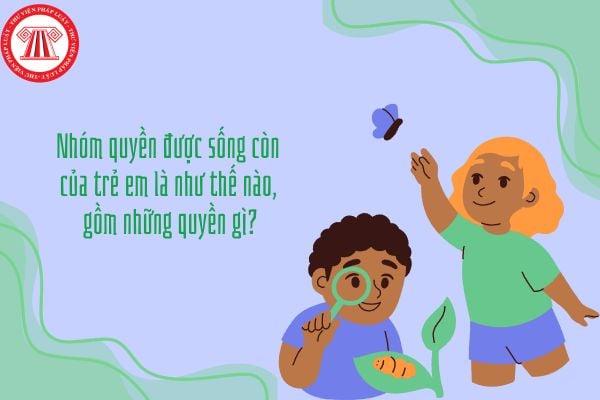 Nhóm quyền được sống còn của trẻ em là như thế nào, gồm những quyền gì?
