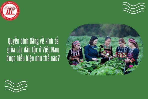Quyền bình đẳng về kinh tế giữa các dân tộc ở Việt Nam được biểu hiện như thế nào? Ví dụ minh họa