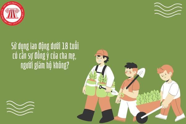 Sử dụng lao động dưới 18 tuổi có cần sự đồng ý của cha mẹ, người giám hộ không?