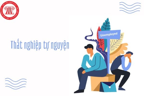 Kinh tế Pháp luật 11 Bài 4: Thất nghiệp tự nguyện là gì? Ví dụ minh họa