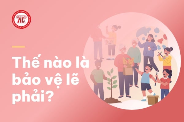 Thế nào là bảo vệ lẽ phải? Lý do của sự cần thiết phải bảo vệ lẽ phải?