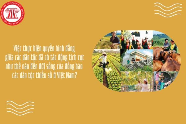 Việc thực hiện quyền bình đẳng giữa các dân tộc đã có tác động tích cực như thế nào đến đời sống của đồng bào các dân tộc thiểu số ở Việt Nam?