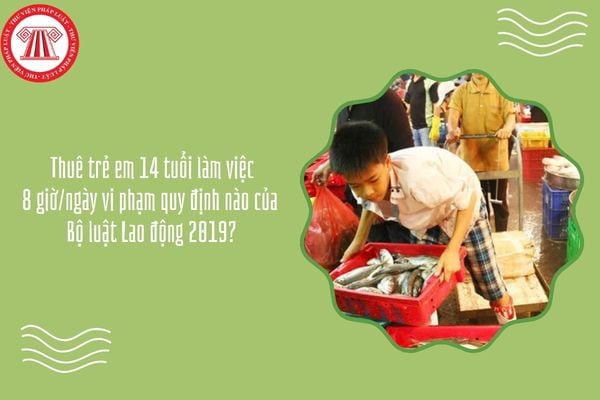 Thuê trẻ em 14 tuổi làm việc 8 giờ/ngày vi phạm quy định nào của Bộ luật Lao động 2019?