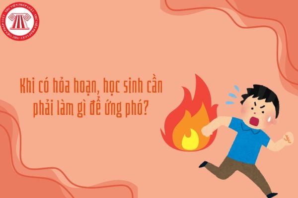 Khi có hỏa hoạn, học sinh cần phải làm gì để ứng phó?